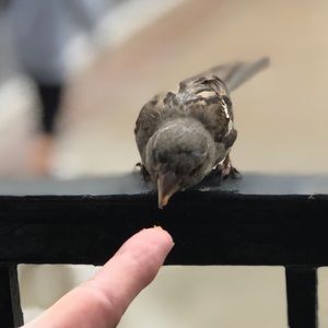 Meet your Posher, Patricia